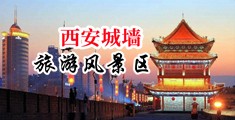 日婆娘中国陕西-西安城墙旅游风景区