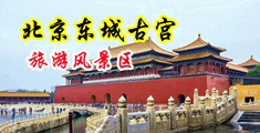 大黑逼视频中国北京-东城古宫旅游风景区